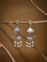 Load image into Gallery viewer, Parrot Dangler Stone Earrings