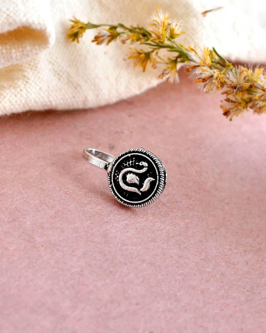 VIDHI OXIDISED CLIP ON NOSEPIN COMBO OF 20